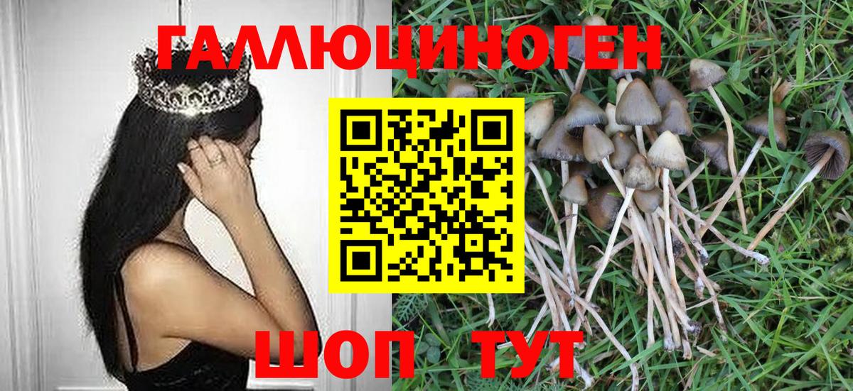 Галлюциногенные грибы Psilocybe Дюртюли