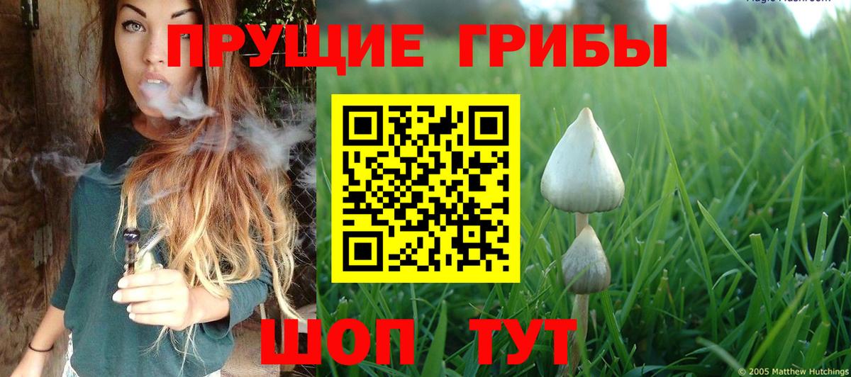 Дюртюли  Галлюциногенные грибы мухоморы  Вход с VPN 